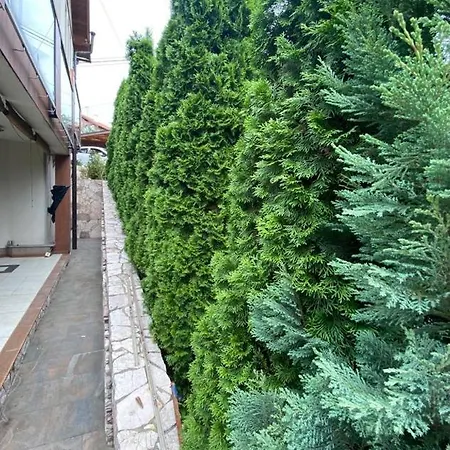 Alea Apartman