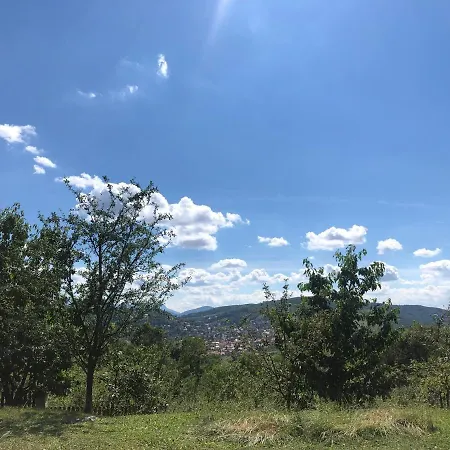 Apartman Alea *